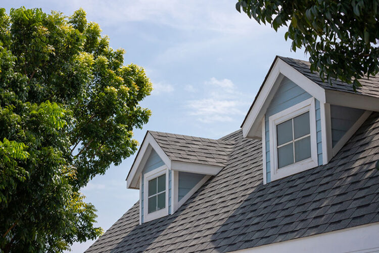 roof buying guide
