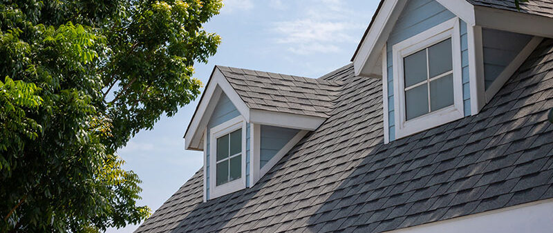 roof buying guide