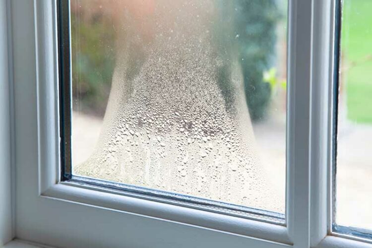 Condensation on the inside of my windows