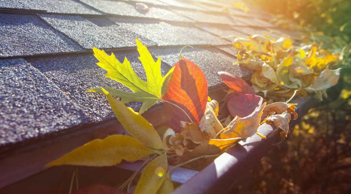 gutter cleaning for the fall