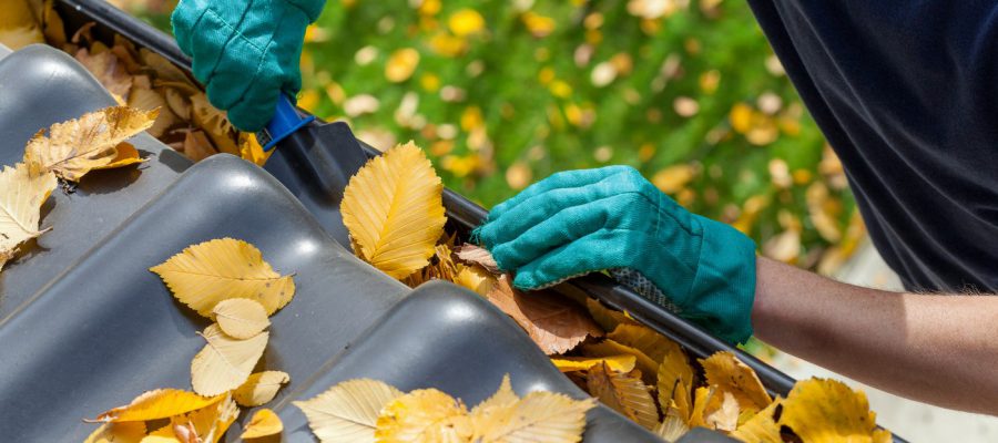 gutter cleaning guide