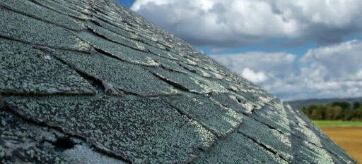 roof shingles are curling