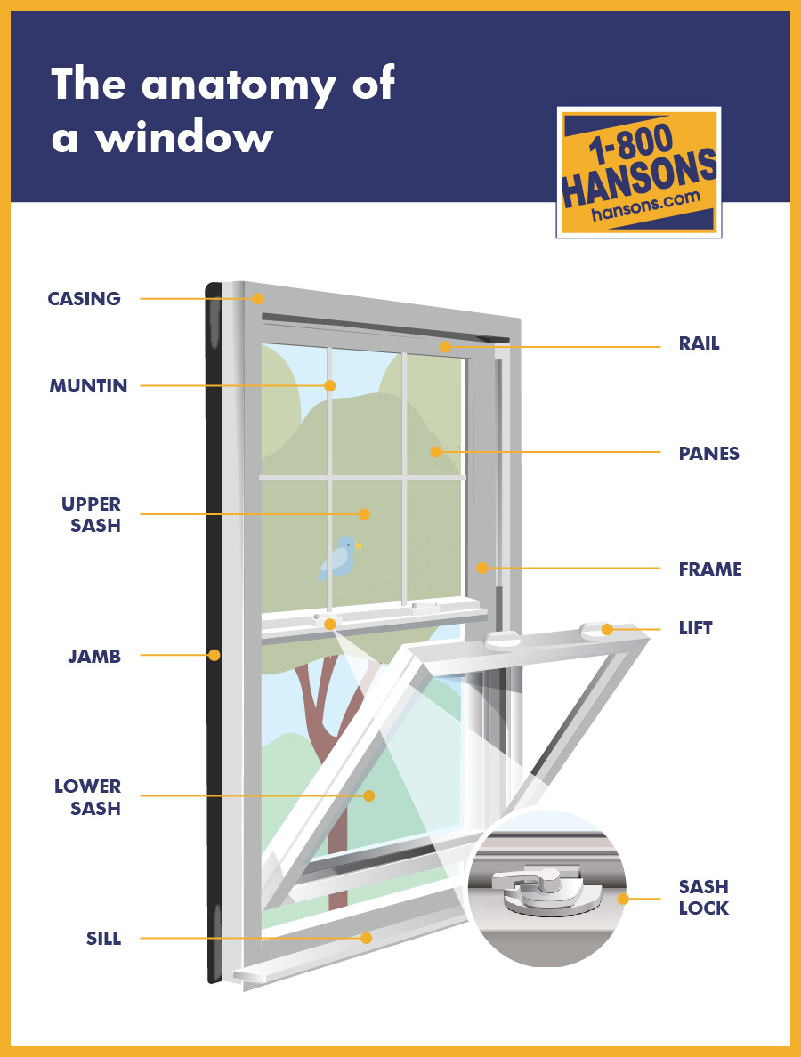 Replacement Window Infographic