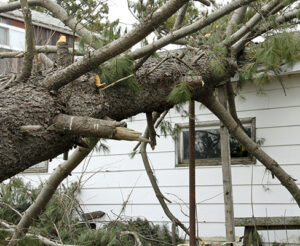 Storm Damage Roof Replacement | 1-800-HANSONS