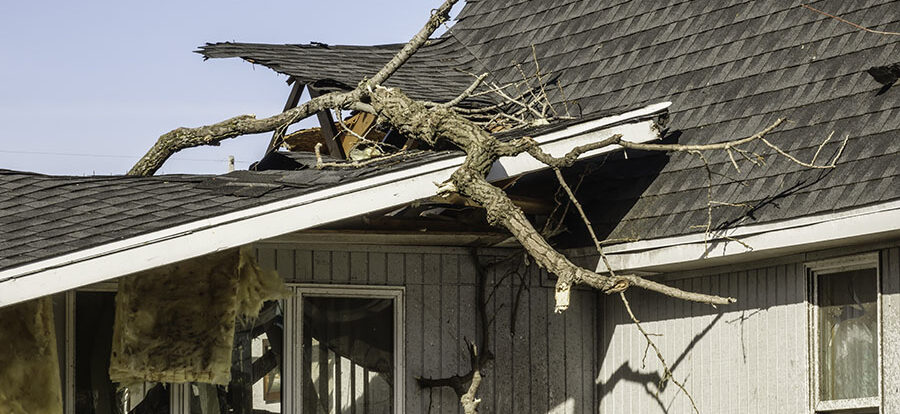 How To Prevent Roof Damage From Trees