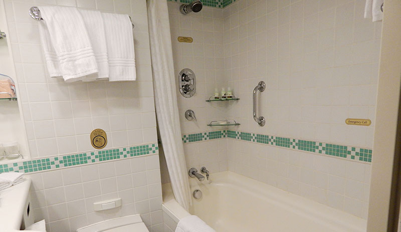bathtub replacement vs bathtub liners