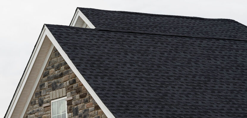 dark roof shingles